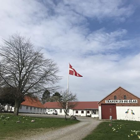 Tranum Lys Og Glas Brovst Zewnętrze zdjęcie