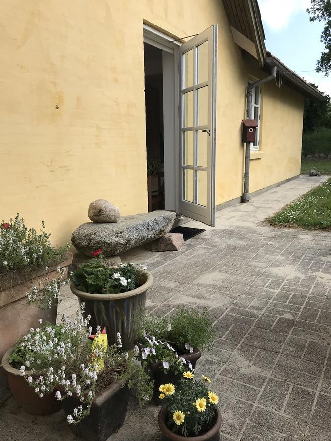 Tranum Lys Og Glas Brovst Zewnętrze zdjęcie